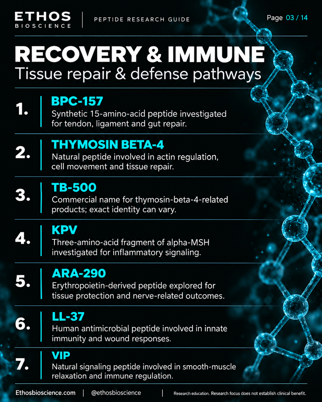 Recovery & immune visual guide