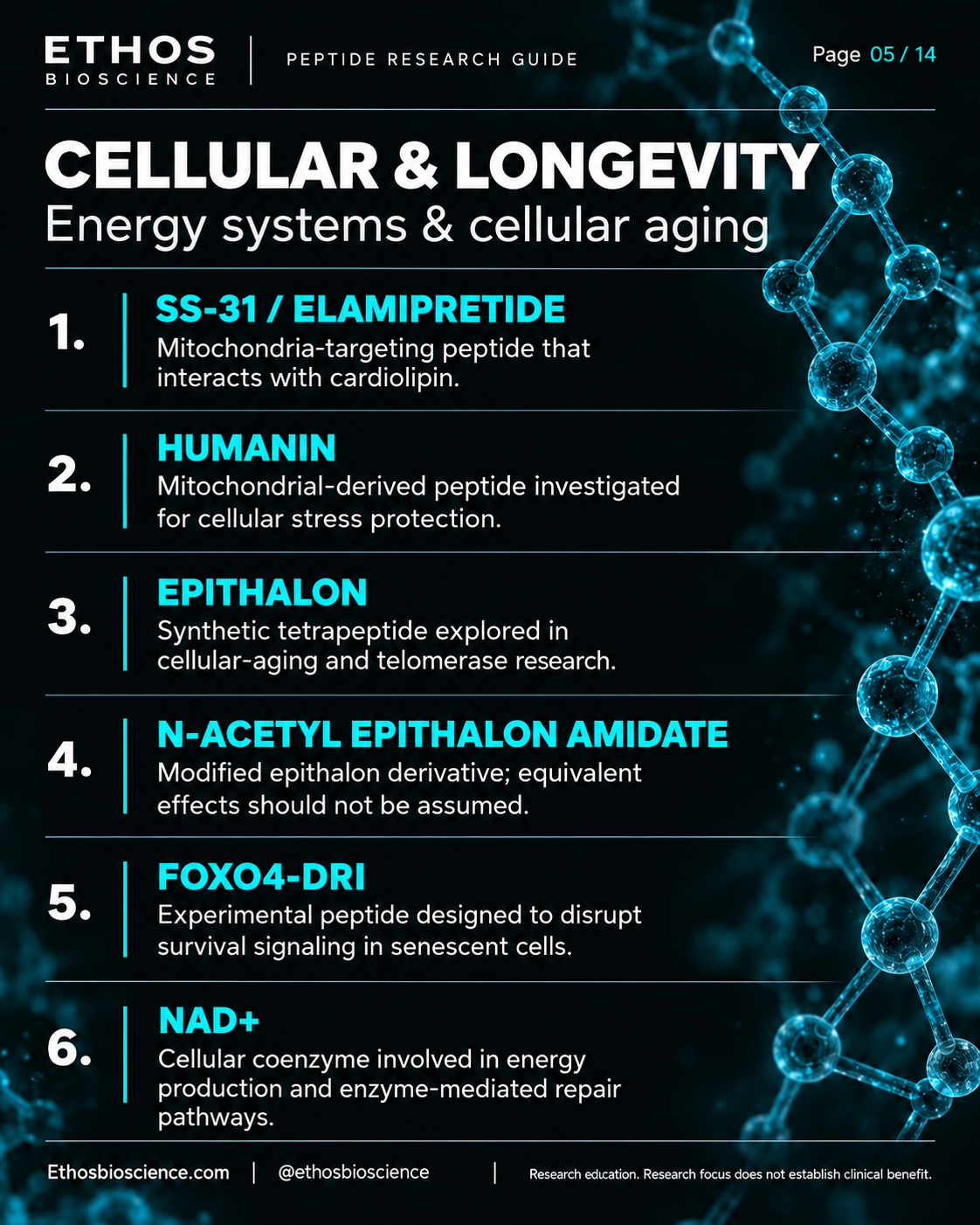 Cellular & longevity visual guide